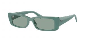 Ray-Ban 4425 Teru 6762/82
