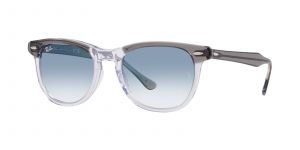 Ray-Ban RB 2398 Eagleeye 1355/3F