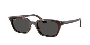 Ray-Ban RB 4456 Zaya 1359/87