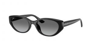 Ray-Ban RB 4457D 6677/11