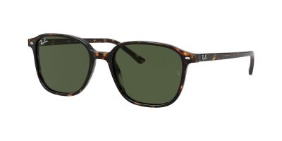 Ray-Ban RB 2193 Leonard 902/31