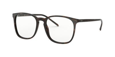 Ray-Ban RB 5387 2012
