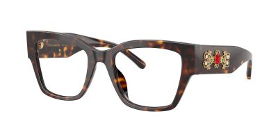 Dolce & Gabbana DG 3435B 502