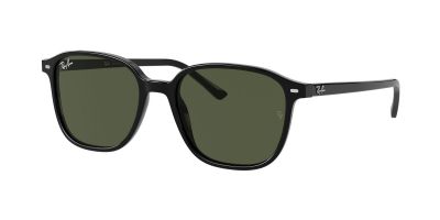 Ray-Ban RB 2193 Leonard 901/31