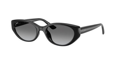 Ray-Ban RB 4457D 6677/11
