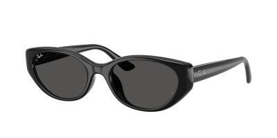 Ray-Ban RB 4457D 6677/87